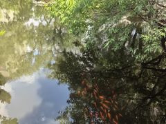 -复旦大学附属华山医院(总院)