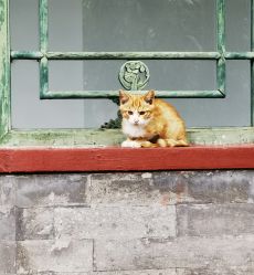 -颐和宾馆宴会厅