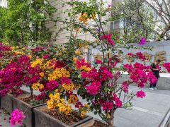 -佛山市中医院(院本部)