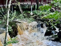 -茅兰沟国家森林公园