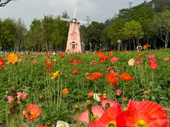 -顺峰山公园