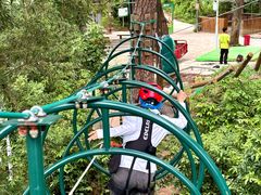 -芦仙山景区-飞越丛林探险乐园