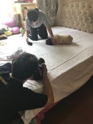 -WPlus明星肖像亲子全家福摄影
