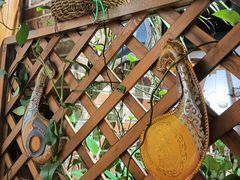 -草原塞蛮羊火锅城(港湾店)