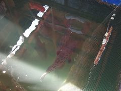 -蓝湾碧波·老字号·疍家非遗海上餐厅