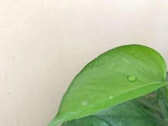 -筑艺咖啡
