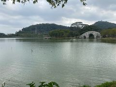 -顺峰山公园