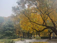 -玲珑塔公园