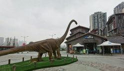 -恐龙探索乐园(磁器口店)