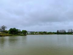 -上海长兴岛郊野公园