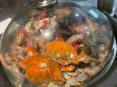 -半岛听涛蒸汽海鲜自助(K11店)