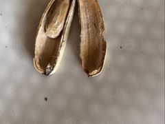 -栗粒香(贵阳路总店)