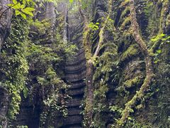 -梭布垭石林景区