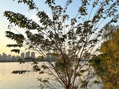 -艾溪湖湿地公园