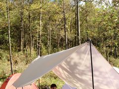 -武陵山森林公园