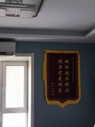 -千禧鸟国际减肥