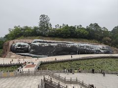 -三水森林公园