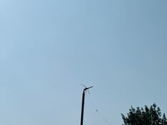 -秦皇岛野生动物园