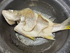 -半岛宴·湛江精品菜(蛇口广场店)