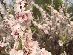 -中国宋庆龄青少年科技文化交流中心
