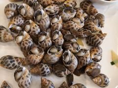 -莆鑫海鲜城(浏河店)