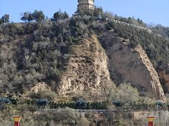 -贺莉嫂北二巷香菇芙蓉面(抗大商厦店)