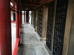 -碑林公园