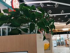 -Aqua Oasis 水天堂(石路天虹店)