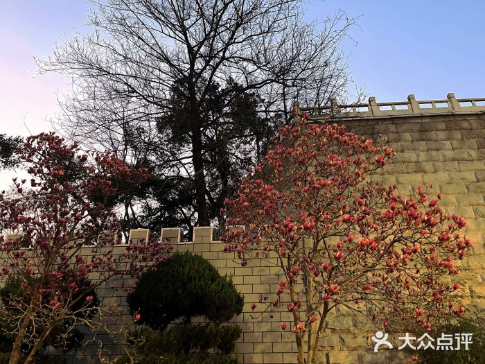 放鹰台遗址图片