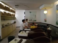 -可可丽舍