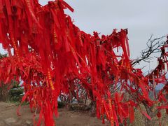 -泰山风景名胜区