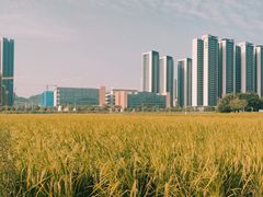 -光明小镇欢乐田园