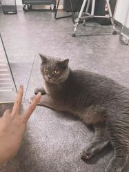 -飛凡TATTOO纹身•原创