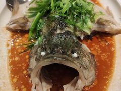 清蒸鲈鱼-至潮餐厅精致粤菜·活鲈鱼·走地鸡(珠江新城店)