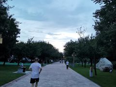 -唐城墙遗址公园