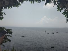 -渔公码头·九龙湾国际饭店