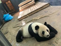 -南昌动物园