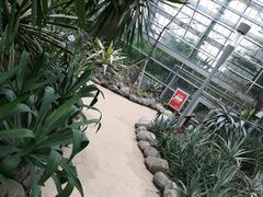 -南山植物园
