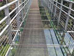 -九龙江国家森林公园