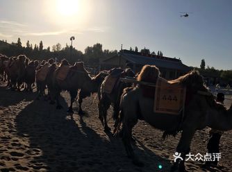 月牙泉是敦煌诸多自然景观中的佼佼者，古往今来以“沙漠