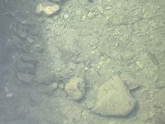 -龙湾潭国家森林公园