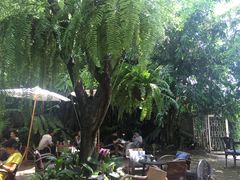 -Fern Forest Cafe
