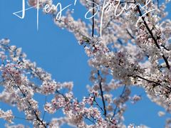 -新虹桥中心花园
