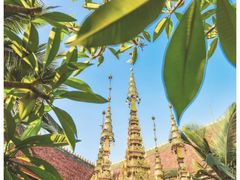 -西双版纳傣族园