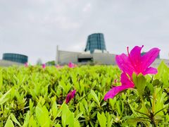 -龙泉青瓷博物馆