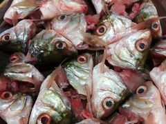 -章记正宗南岗鱼蛋火锅