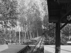 -合肥滨湖国家森林公园