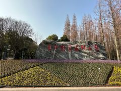 -东平国家森林公园