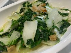-丁老爷子苏香圆