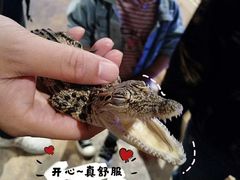 -zoonana室内动物园(东方福来德店)